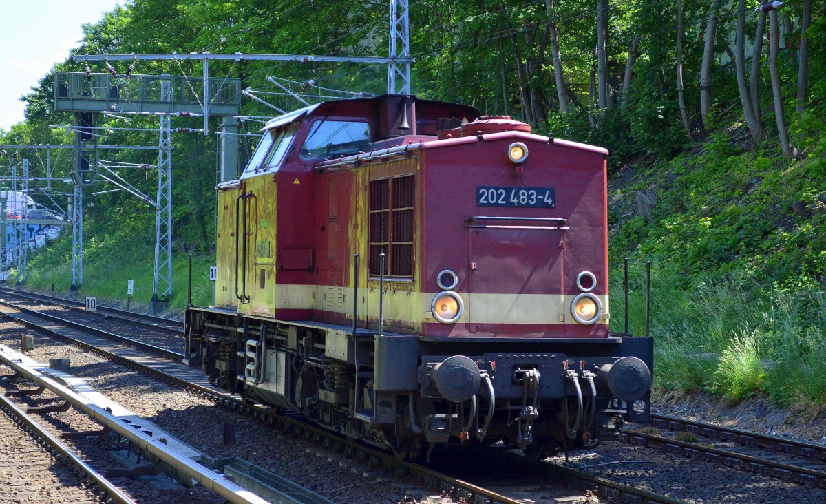 WFL Lok  24  202 483-4 am 04.06.15 Berliner Innenring Höhe Schönhauser Allee. 