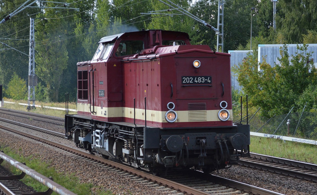 WFL Lok 24/202 483-4 am 10.09.15 Mühlenbeck/Mönchmühle bei Berlin. 