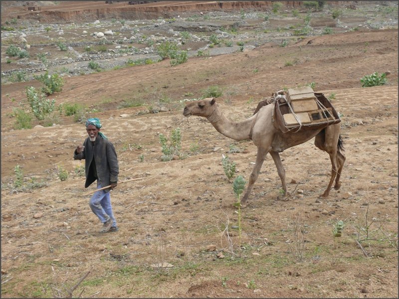 Da macht sich einer mit ein paar Ziegelsteinen aus dem Staub. (30.10.2008)