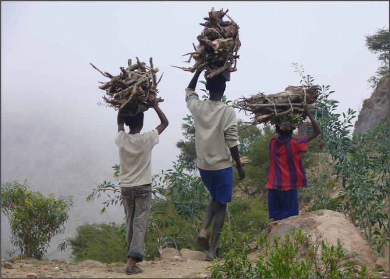 Die drei Holztr�ger verschwinden im Nebel. (28.10.2008)