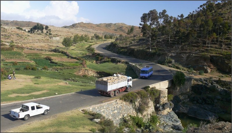 Dort wo Wasser fliesst w�chst auch etwas, wie hier entlang eines kleinen Flusses an der Strasse nach Keren. (26.10.2008)