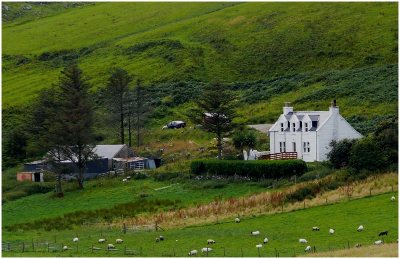 Eines dieser weit verstreuten, weissen Bauernh�user bei Kilmuir aud Skye. (07.08.2008)