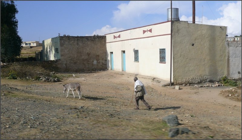 Esel gibts scheinbar �berall im Hochland, weiter unten sinds dann eher Kamele. (26.10.2008)