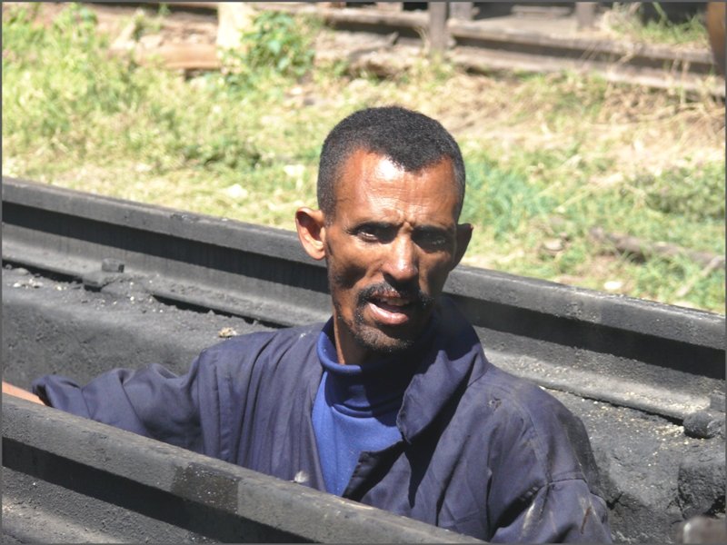 Inspektor f�r die Unteransicht der Dampflok im Depot Asmara. (28.10.2008)