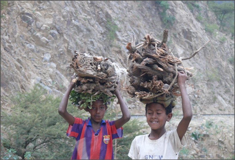 Nicht nur Kamele schleppen Holz, auch Kinder sind entlang der Eisenbahntrassee mit Brennholz unterwegs. (28.10.2008)