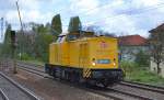 DB Netz 203 316-5 auf dem Berliner Innenring Höhe Jugfernheide Richtung Berlin Grunewald am 15.04.14