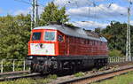 Salzland Rail Service GmbH, Bernburg (Saale) mit der von LOK-OST Lokführerdienstleistungen Olof Stille gemieteten  232 903-5  [NVR-Nummer: 92 80 1232 903-5 D-OST] am 08.09.25 Höhe Bahnhof