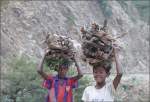 Nicht nur Kamele schleppen Holz, auch Kinder sind entlang der Eisenbahntrassee mit Brennholz unterwegs.
