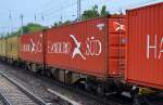 Der Klassiker, die typischen HAMBURG SÜD Container am 13.07.15 Berlin Hirschgarten.