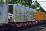Farbenfroher Kühlthermo LKW-Trailer der Fa. Dr.Oetker  Paula Schokopudding  per Bahn am 20.06.17 Bf. Hamburg-Harburg.