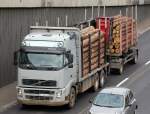 VOLVO FH 440 PS H�ngerzug mit Hydraulkgreifbagger und hohen Rungen f�r Holztransporte, 08.09.10 Berliner Stadtautobahn H�he Knobelsdorffstr.