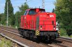 WFL Lok 21, die 203 113-6 Richtung Innenstadt, 24.07.13 Berlin-Karow.