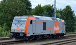 hvle 246 010-3 am 11.08.16 Berlin Gr�nau Richtung K�nigs Wusterhausen.