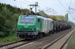 akiem 37041 für CTL mit einem Kurzzug Kesselwagen (geschmolzenes Schwefel) am 14.10.16 Berlin-Hohenschönhausen.