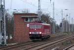 LEG 250 137-7 (155 137-3) am 11.12.13 Berlin-Karow.