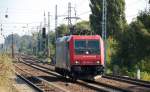 SBB Cargo Mietlok Re 482 049-4 (ob immer noch f�r LOCON t�tig?) am 06.09.13 Berlin-Karow.