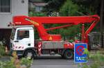 MAN TGL 8.180 mit BISON/PALFINGER Arbeitsb�hne Typ TKA 28 am 09.08.12 Berlin-Karow.