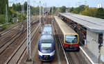 NEB VT 736 als RB25 nach Werneuchen und die Berliner S-Bahn (BR 481) mit der S7 nach Potsdam Hbf., 23.09.16 Nf.