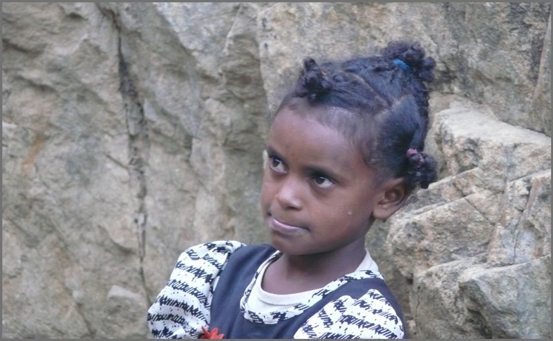 Was geht da wohl vor in diesem Kopf? (30.10.2008)